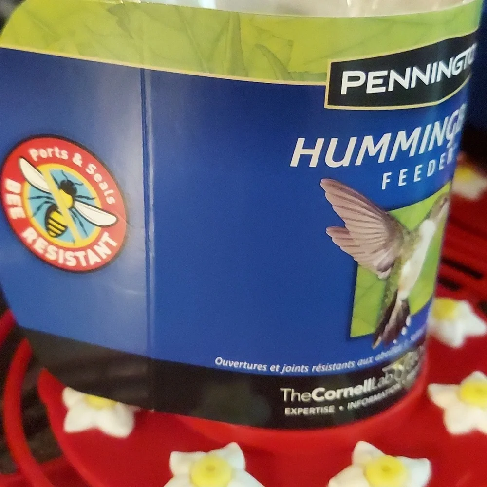 PENNINGTON 16 OZ. GLASS HUMMINGBIRD FEEDER - TOP RATED BEST SELLER☆ BNWT 1 LEFT!